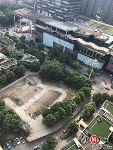 武汉最新爆料,揭秘城市动态与热点事件  第2张